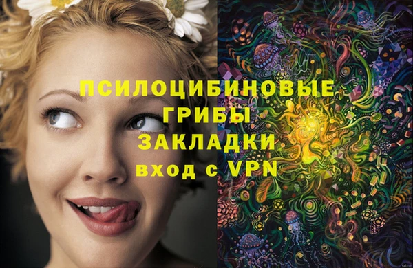 spice Баксан