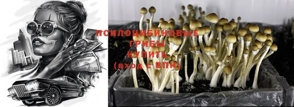 spice Белоозёрский