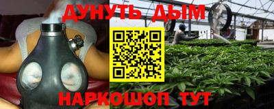 шишки Малгобек
