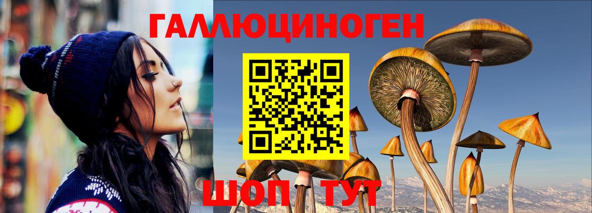Заречный  Псилоцибиновые грибы Magic Shrooms  Вход с VPN  наркота  Псилоцибиновые грибы прущие грибы 